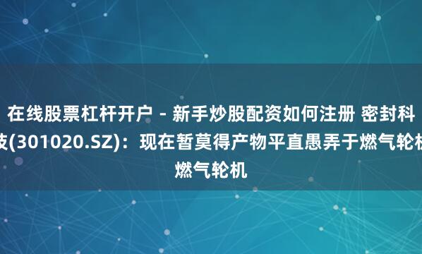 在线股票杠杆开户 - 新手炒股配资如何注册 密封科技(301020.SZ)：现在暂莫得产物平直愚弄于燃气轮机