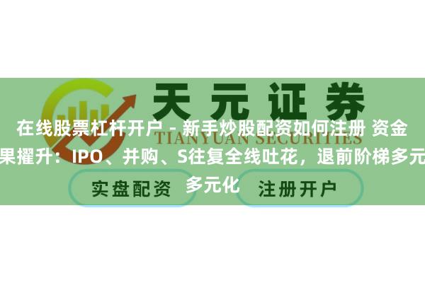 在线股票杠杆开户 - 新手炒股配资如何注册 资金效果擢升：IPO、并购、S往复全线吐花，退前阶梯多元化