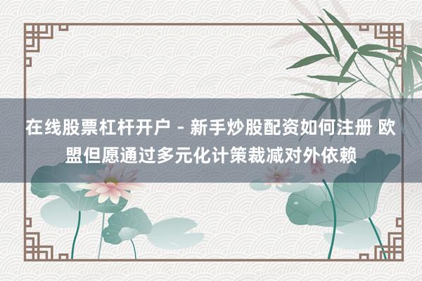 在线股票杠杆开户 - 新手炒股配资如何注册 欧盟但愿通过多元化计策裁减对外依赖